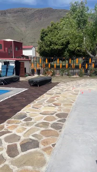 Enlarge Brutus, a ADOPTABLE mixed breed in Los Angeles, CA video 4/6