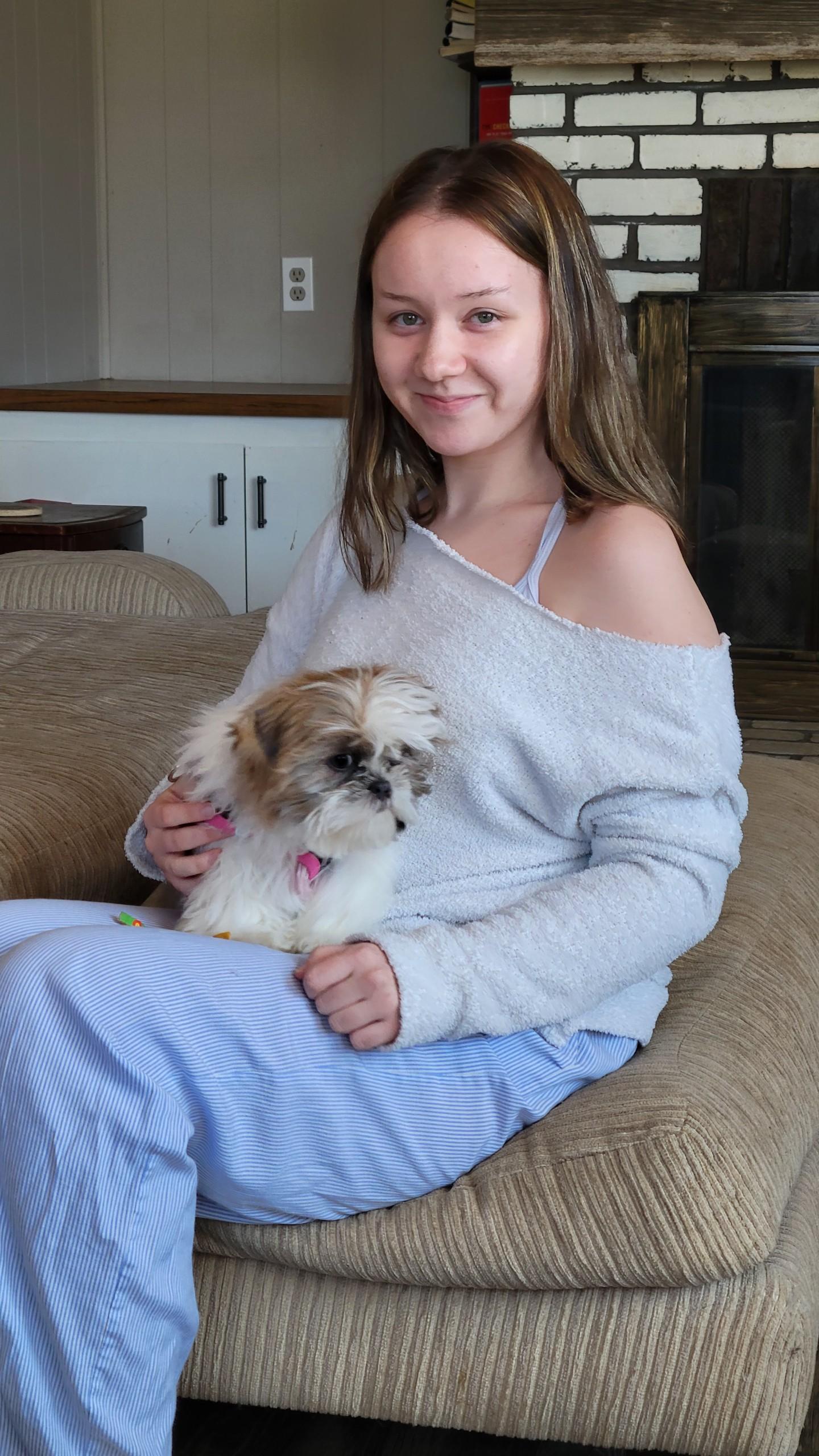 Enlarge Sweet Pea, a Adopted Shih Tzu in Florissant, MO image 3/4