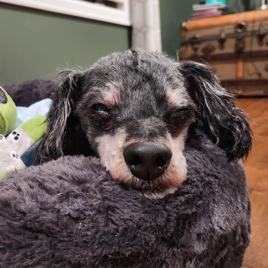 Alien — thumbnail 2