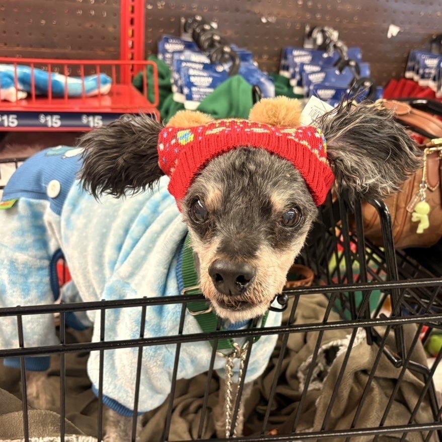 Alien — thumbnail 3