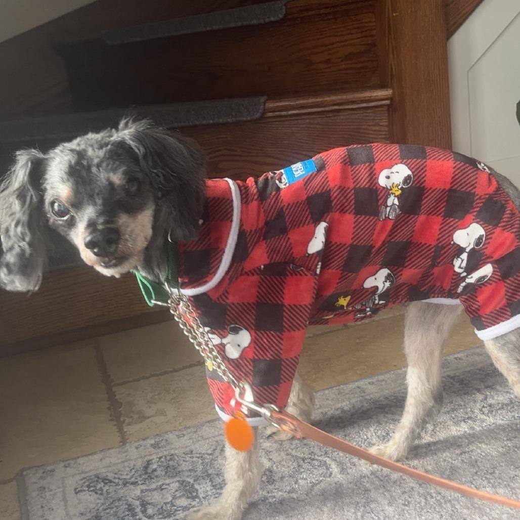 Alien — thumbnail 5