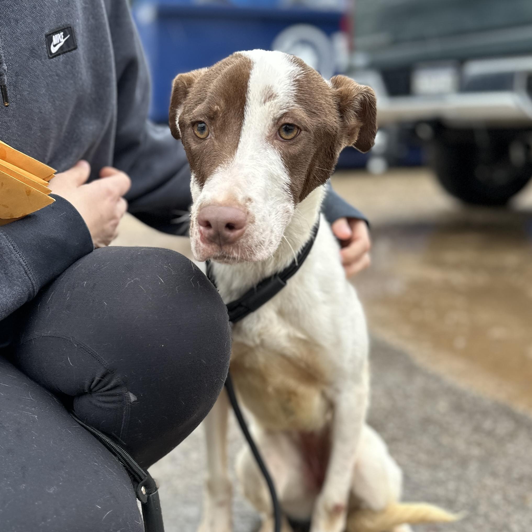 HydroJug — thumbnail 5