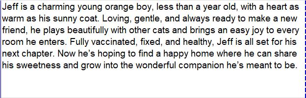 Enlarge Jeff, an adopted Domestic Short Hair in Weatherford, TX image 2/4