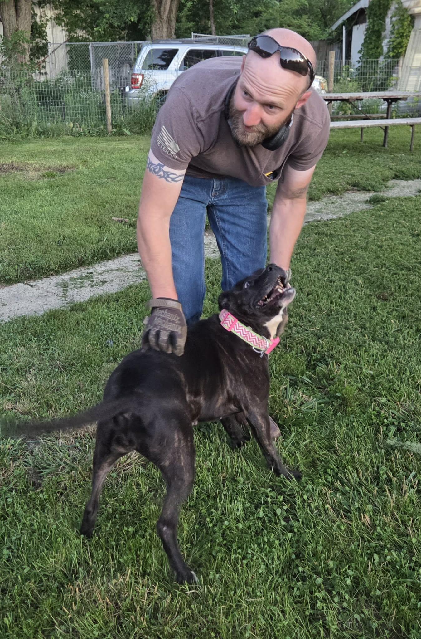 Enlarge Pippy, a Adoptable mixed breed in Athens, TX image 4/6