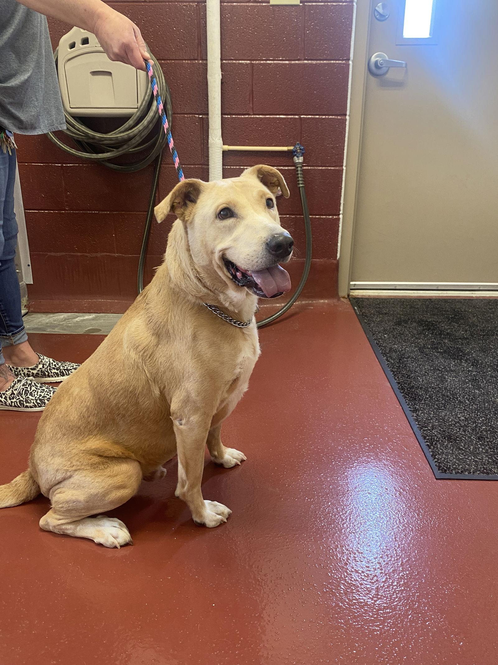 Cookie Monster thumbnail 2