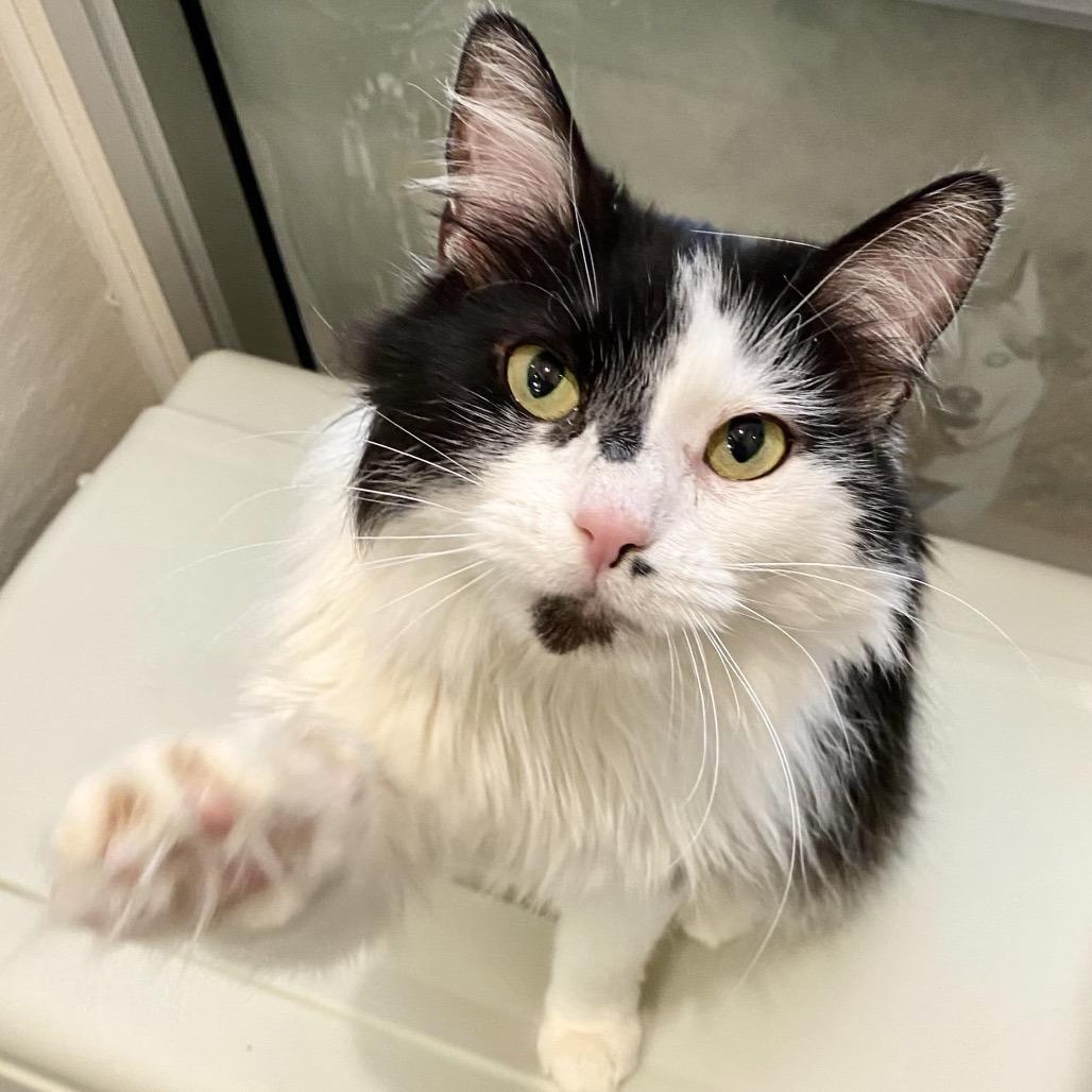 Pixel — thumbnail 2