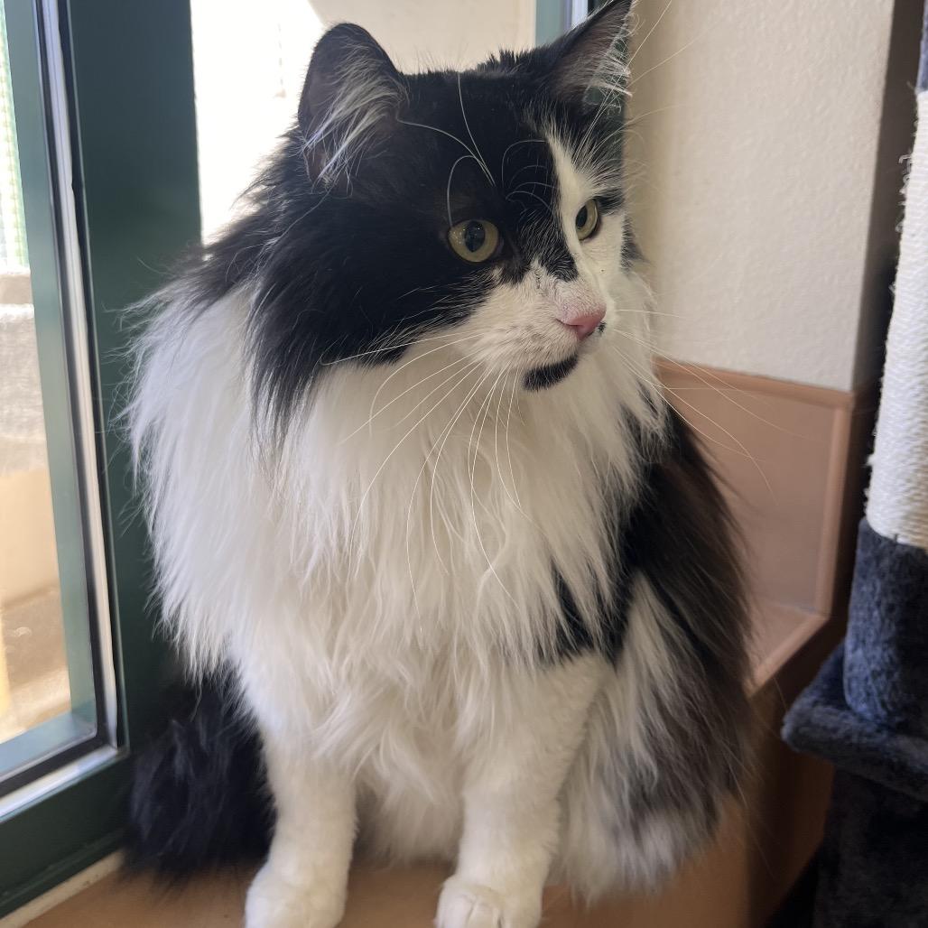 Pixel — thumbnail 3