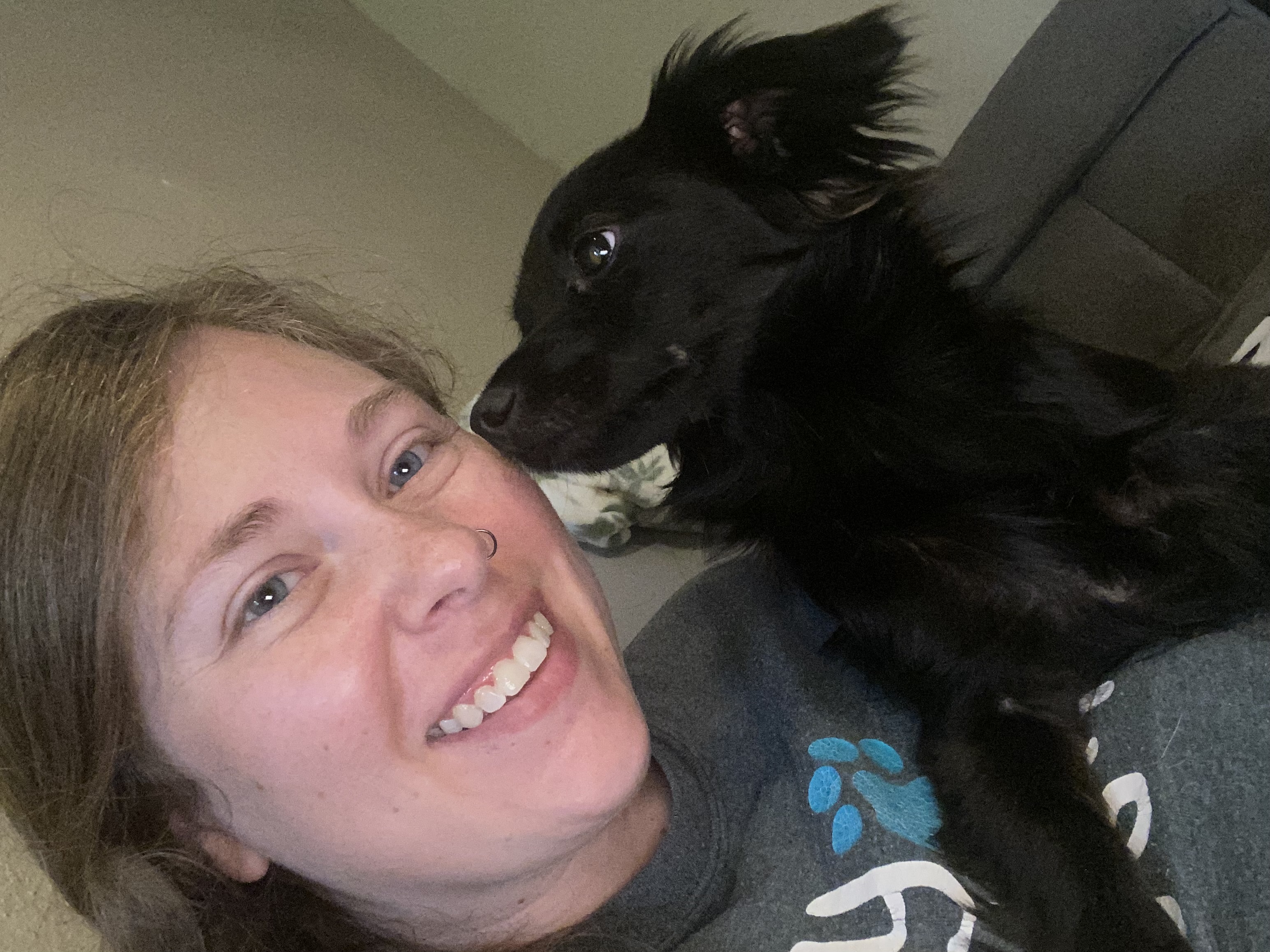 Shadow, a Adopted Chihuahua in Spring, TX image 4/4