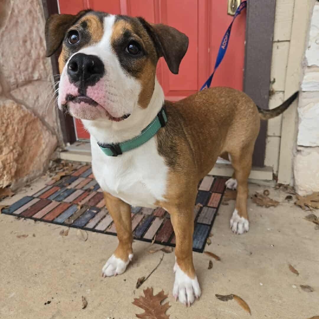 Nona — thumbnail 4