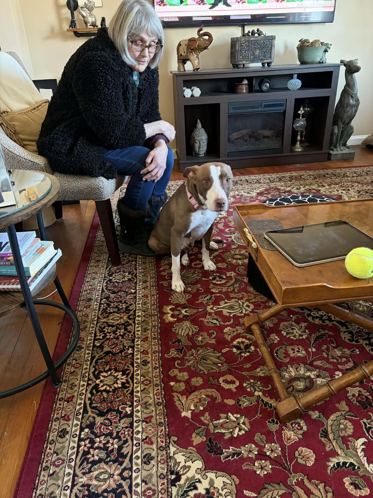 Enlarge Rosie, a Adoptable mixed breed in St. Clair Shores, MI image 2/4