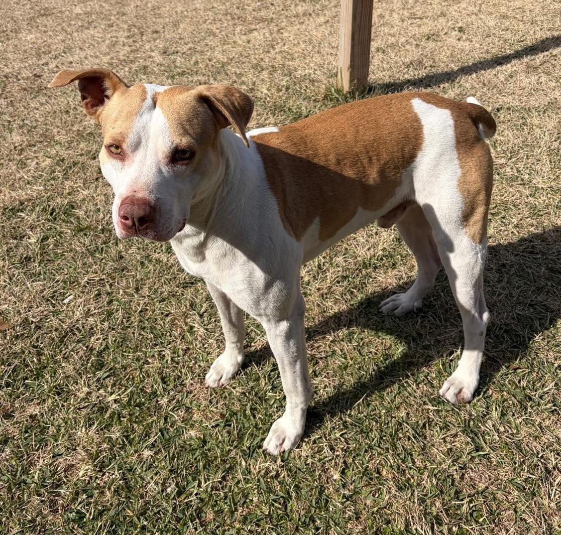 Shawn — thumbnail 2