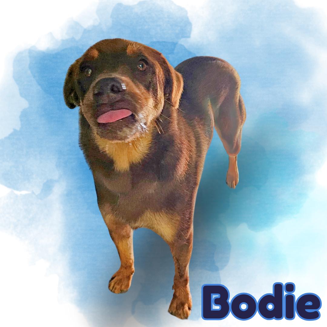 Bodie thumbnail 2