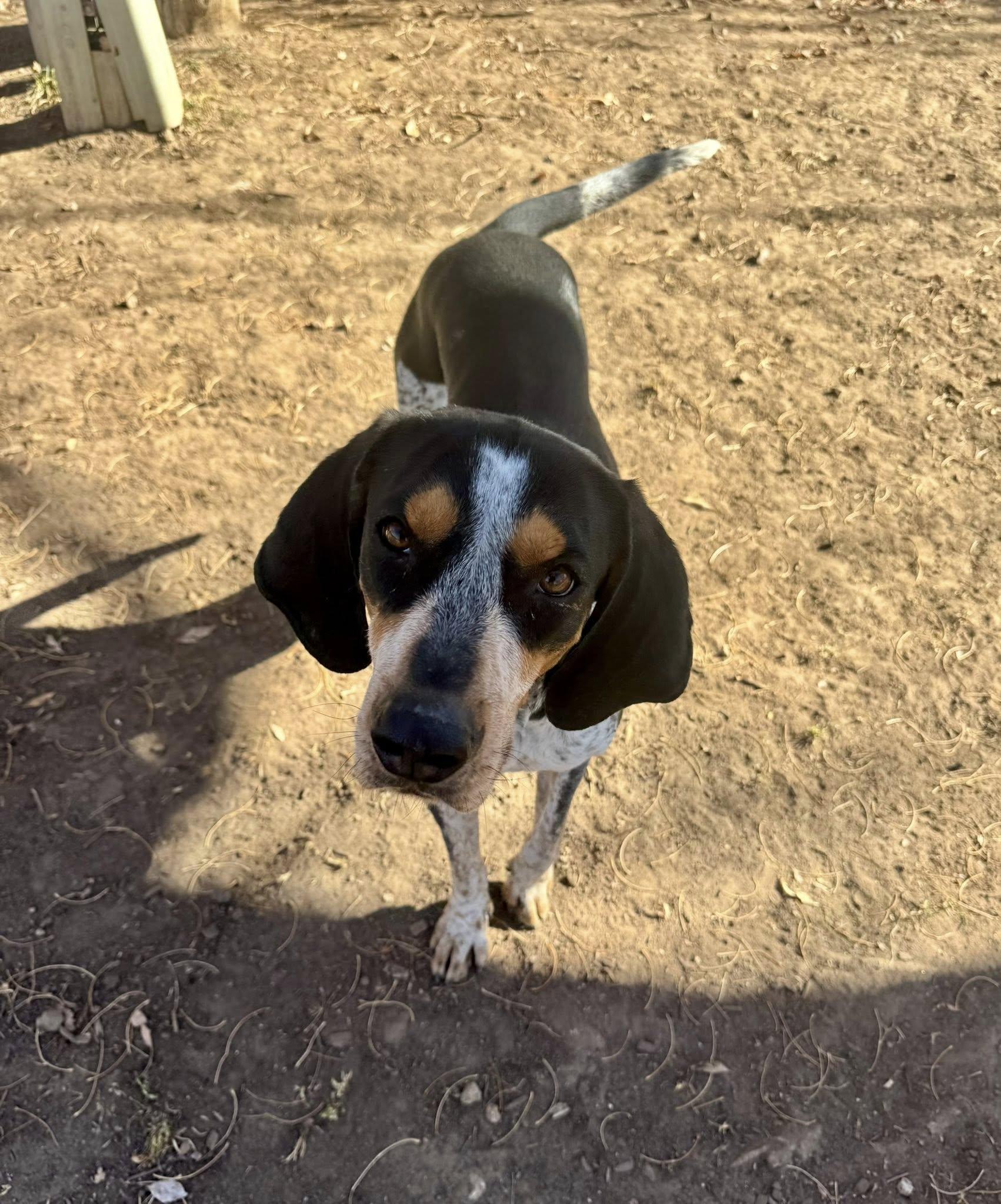 Virgil & Wyatt thumbnail 3