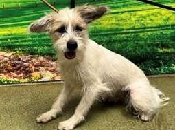 SAVE ME PLEASE! SPARKLE -ID#A543872