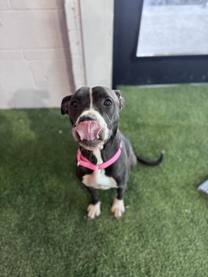 June — thumbnail 2