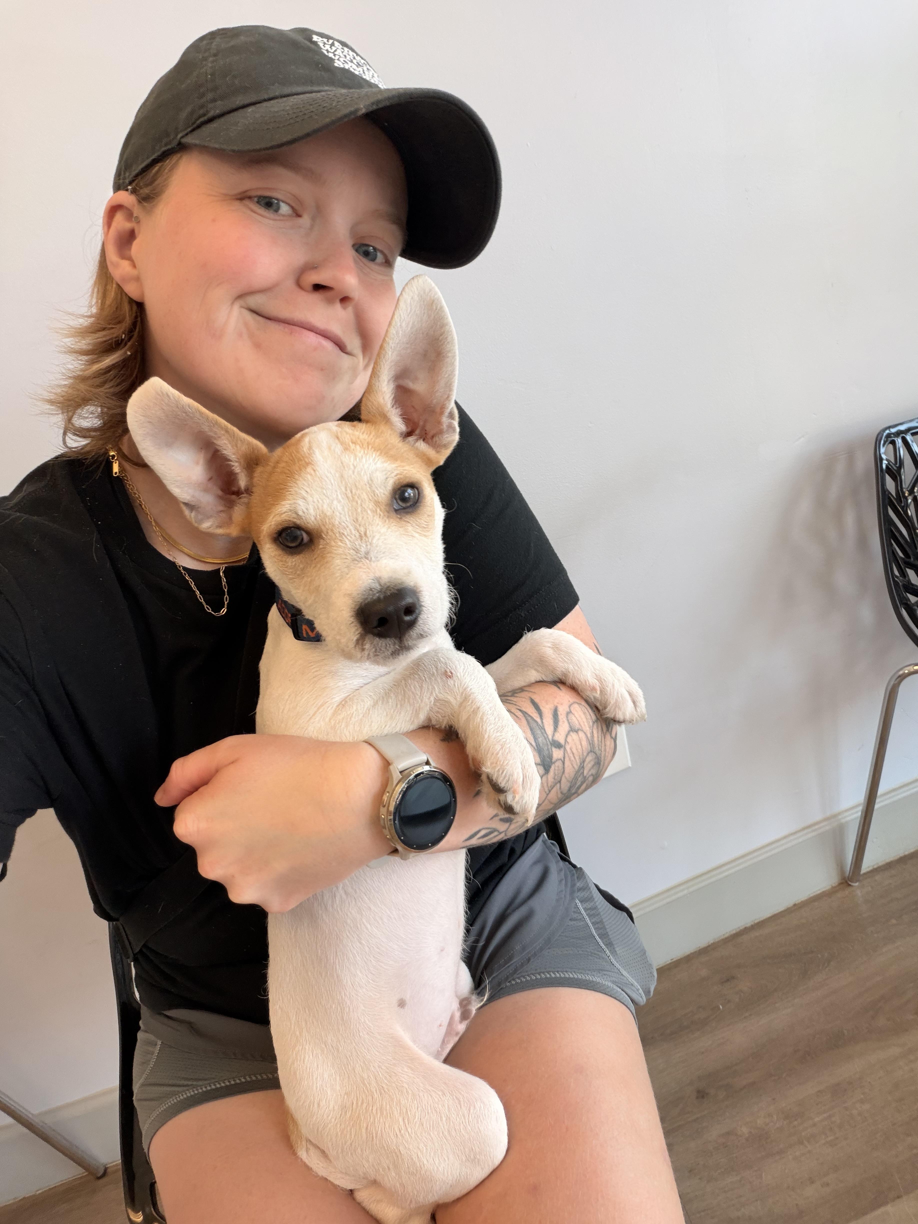 Enlarge Trix, a Adoptable mixed breed in Austin, TX image 6/6