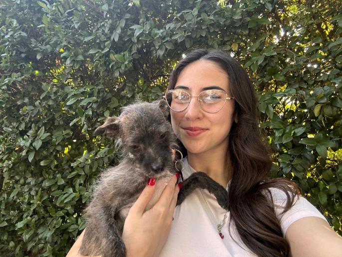 Enlarge Bonnie, a ADOPTABLE mixed breed in West Hollywood, CA image 6/6