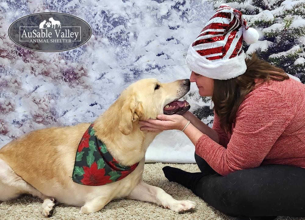 Enlarge Buster, a ADOPTABLE mixed breed in Grayling, MI image 1/6