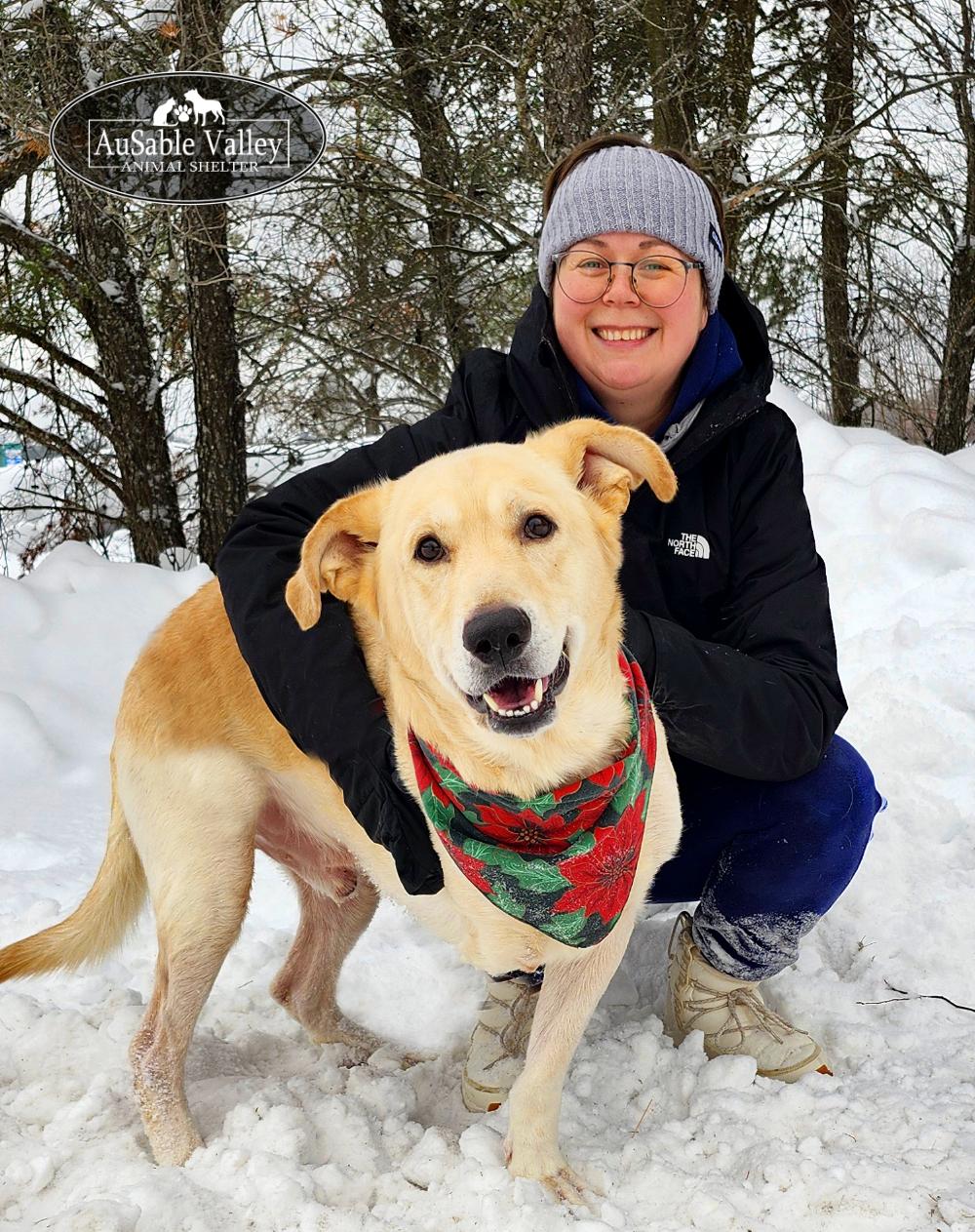 Enlarge Buster, a ADOPTABLE mixed breed in Grayling, MI image 2/6
