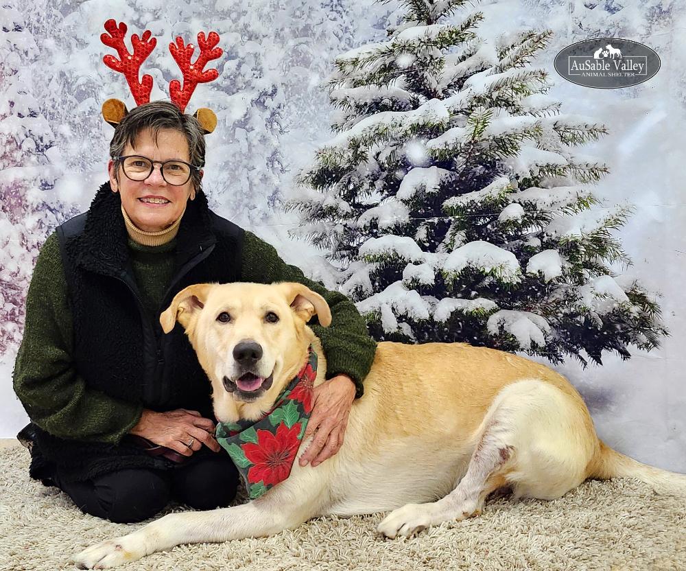 Enlarge Buster, a ADOPTABLE mixed breed in Grayling, MI image 6/6