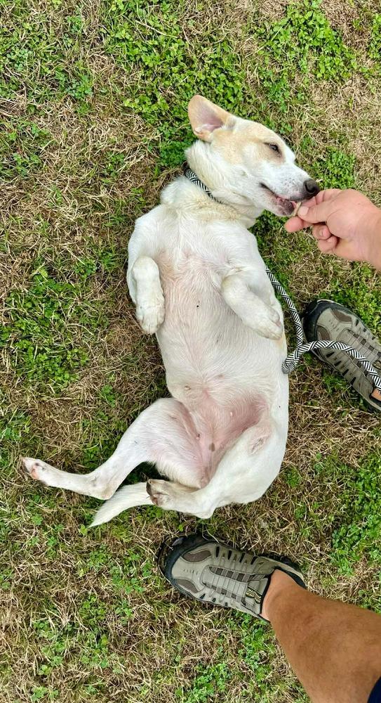 Janice — thumbnail 2