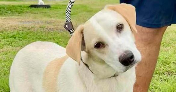 Janice — thumbnail 3