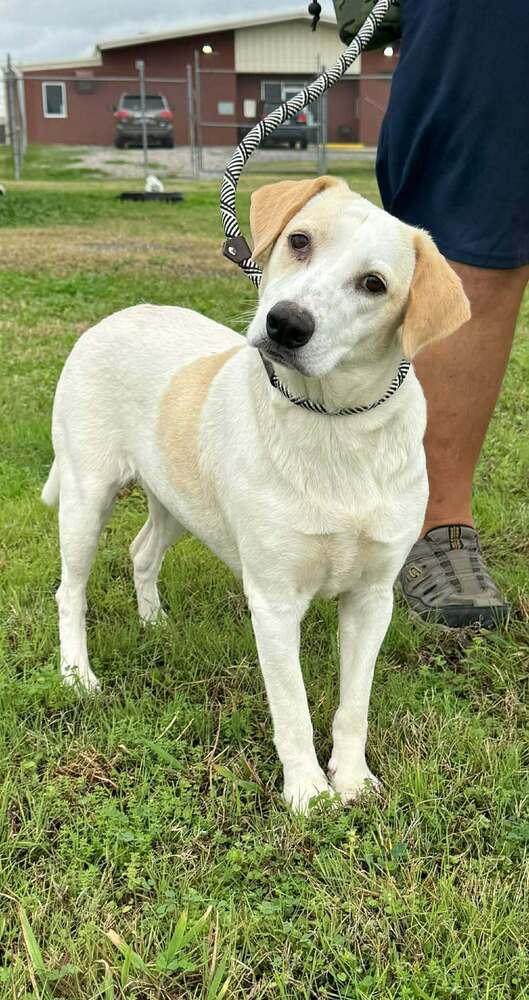 Janice — thumbnail 4