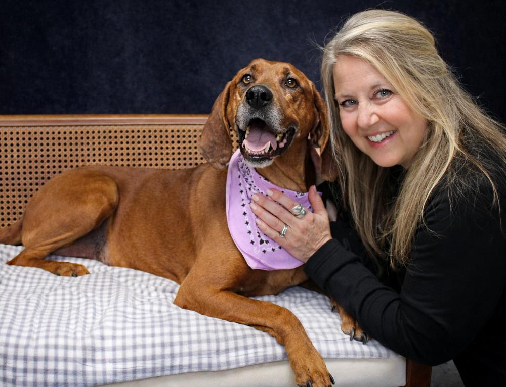 Enlarge Miss Ruby Red, a ADOPTABLE Redbone Coonhound in Cheboygan, MI image 6/6