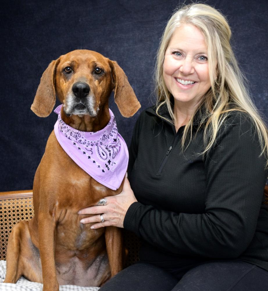 Enlarge Miss Ruby Red, a ADOPTABLE Redbone Coonhound in Cheboygan, MI image 4/6