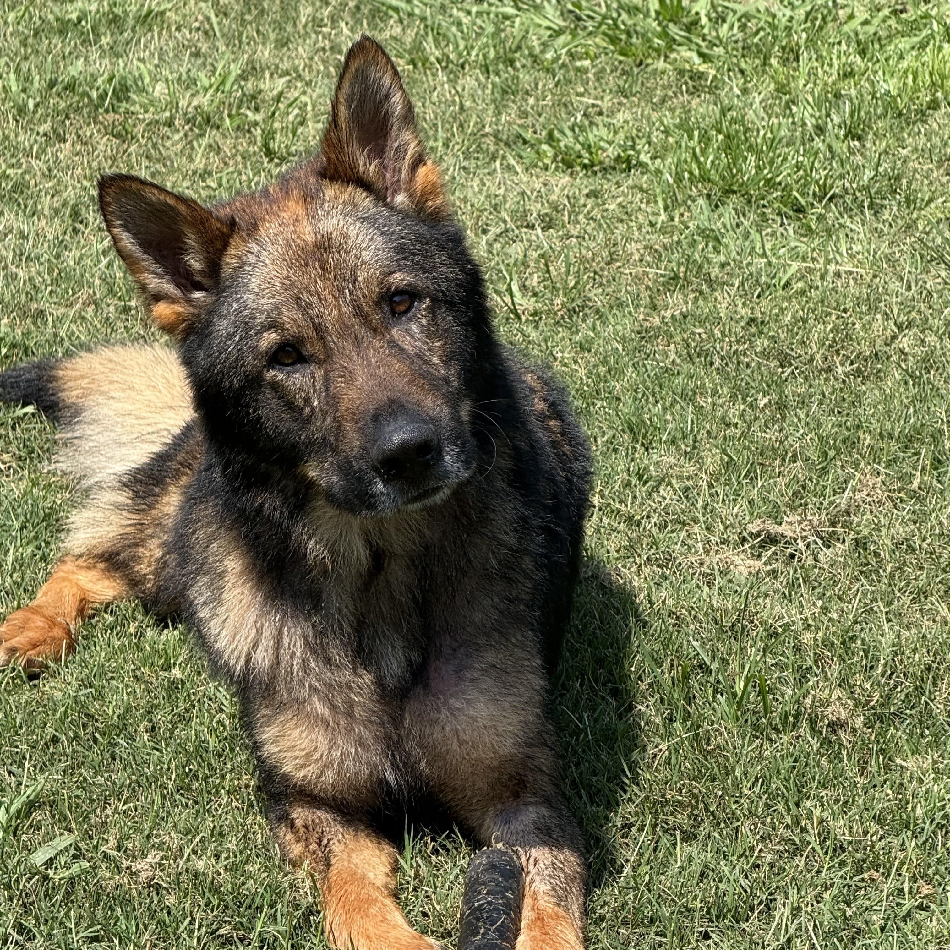 Obi