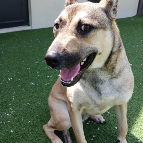 Luka AKA Pengu 5953 2