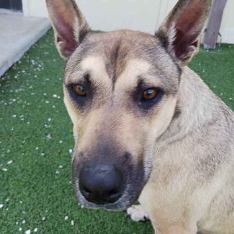 Luka AKA Pengu 5953 5