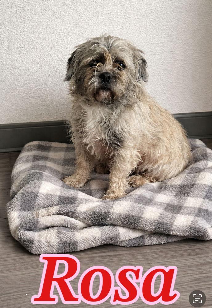 Chiquita DD~ — thumbnail 2