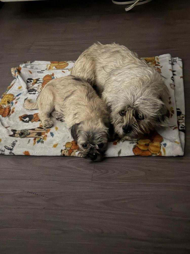 Chiquita DD~ — thumbnail 3