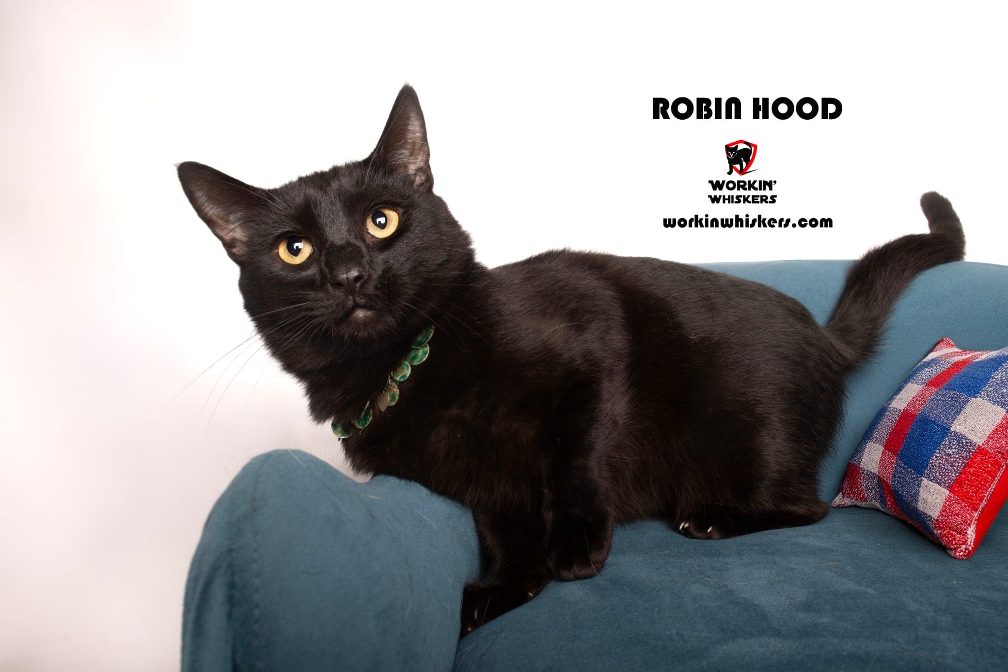 Robin Hood