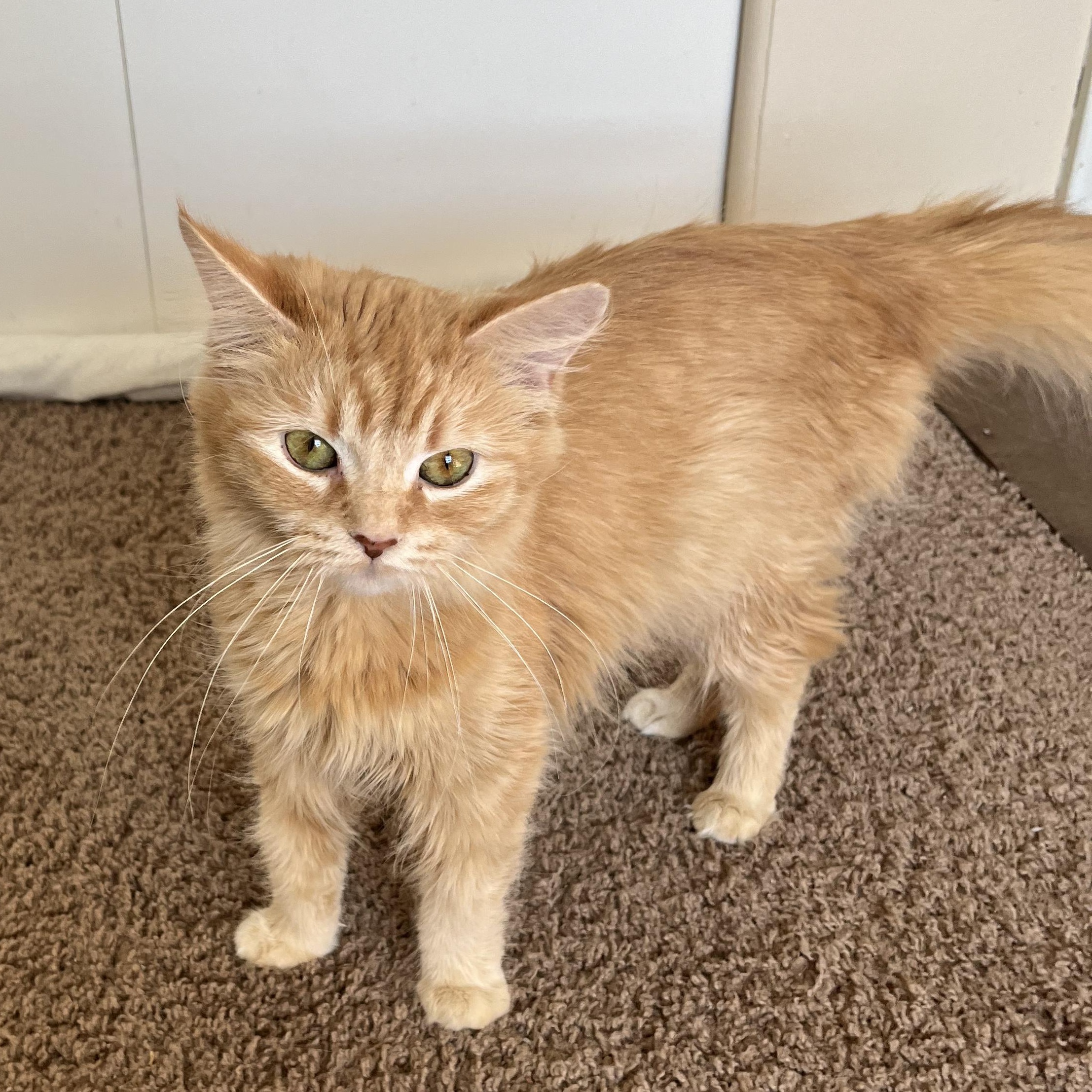 Alina — thumbnail 2