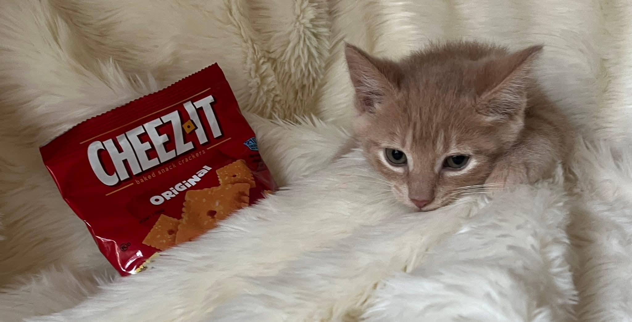 Cheez-it photo 2