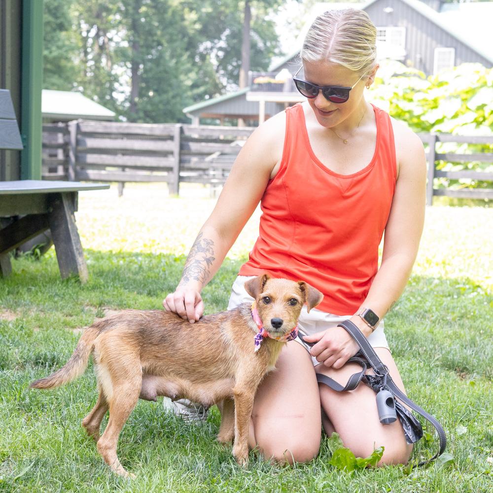 Raquel (Female), an adopted mixed breed in West Grove, PA image 6/6