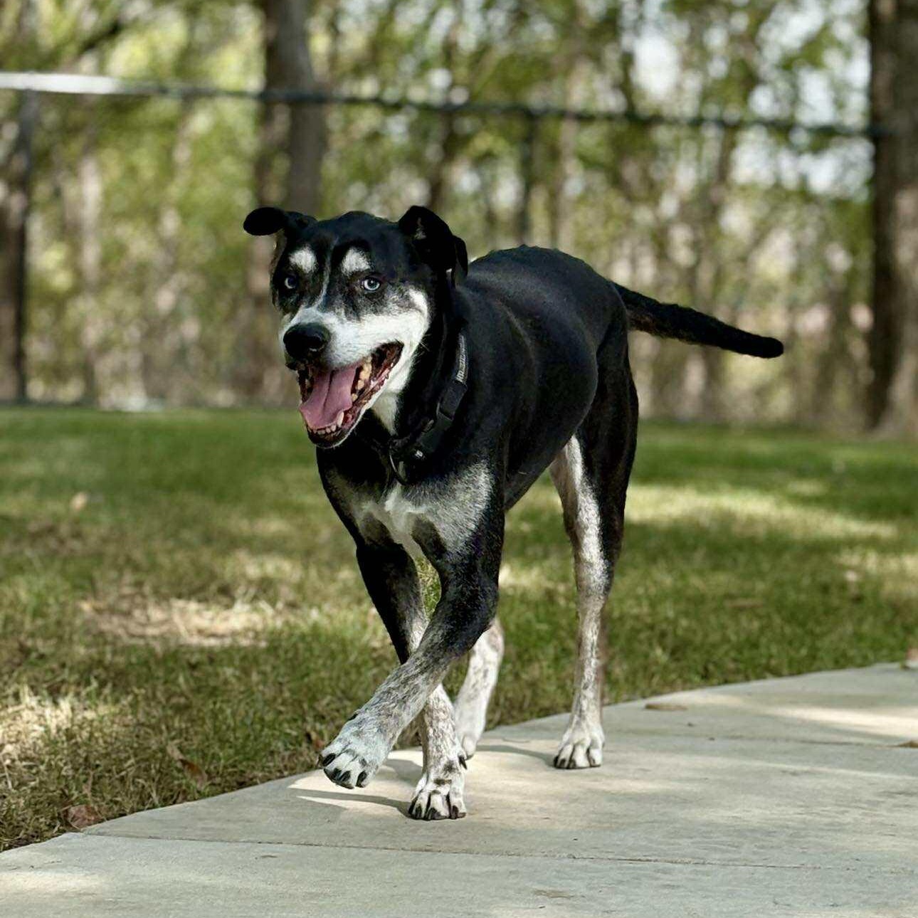 *Denver — thumbnail 6