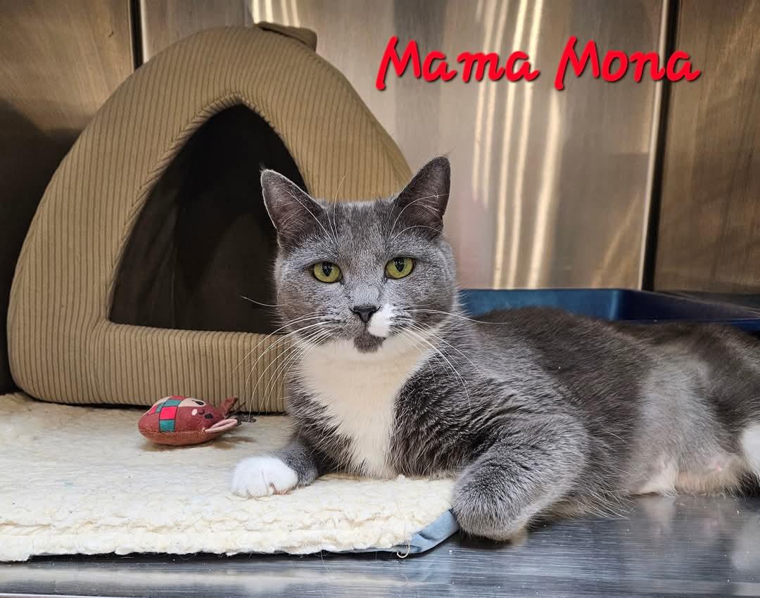 Mama Mona