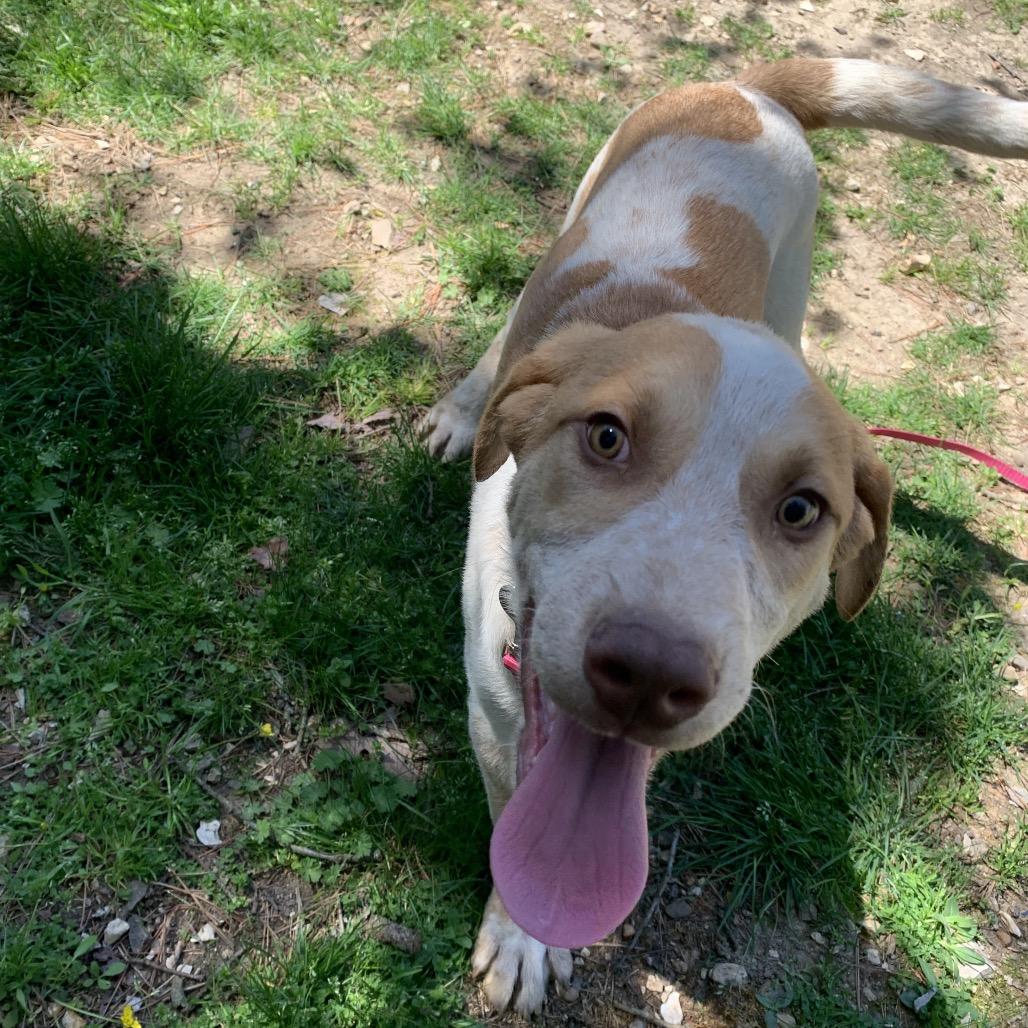 Hamster — thumbnail 6