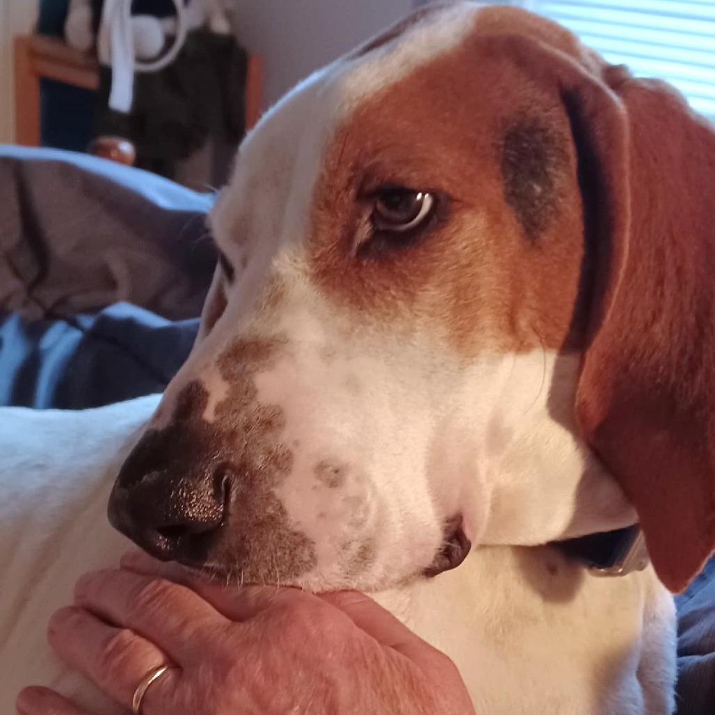 Willie A — thumbnail 4