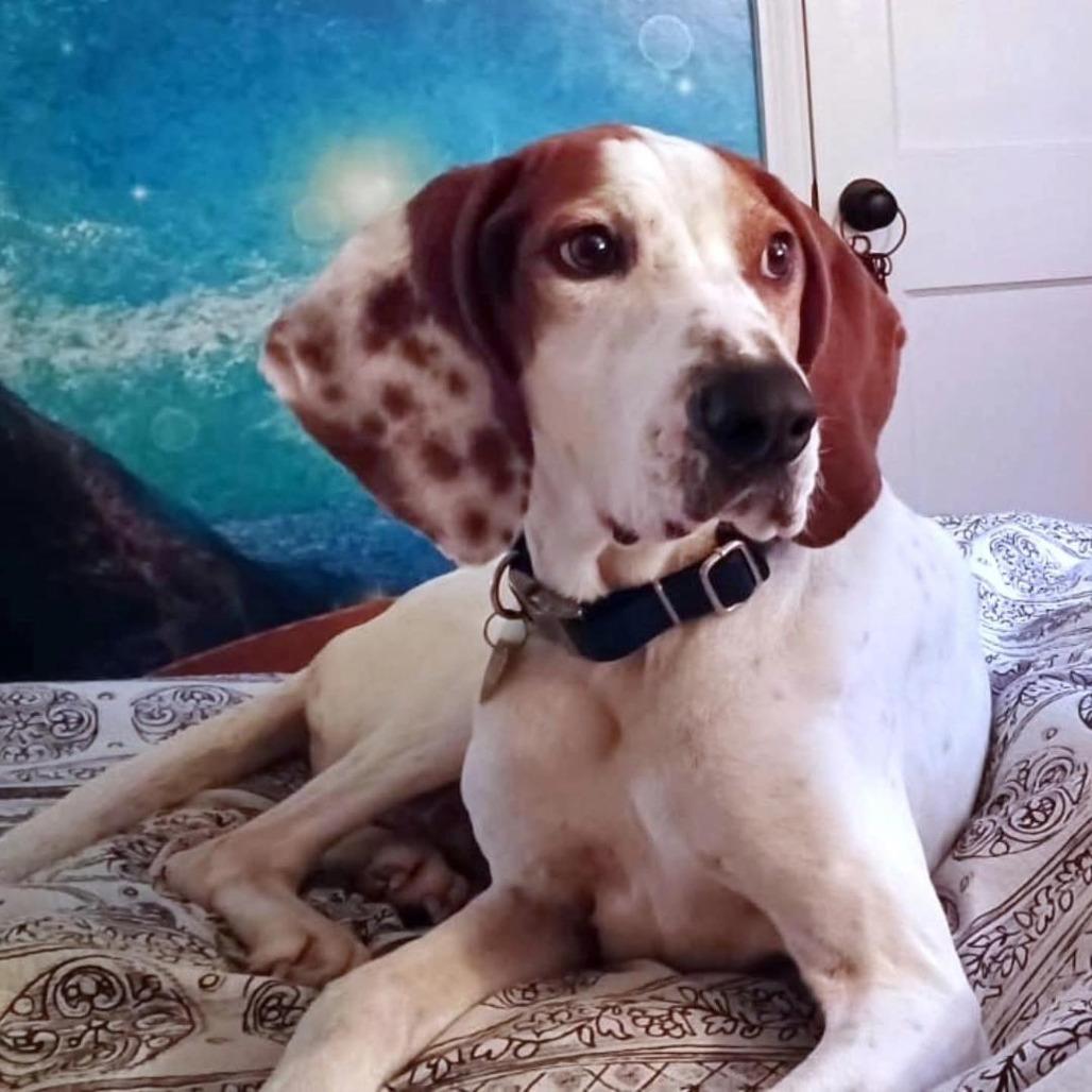 Willie A — thumbnail 5