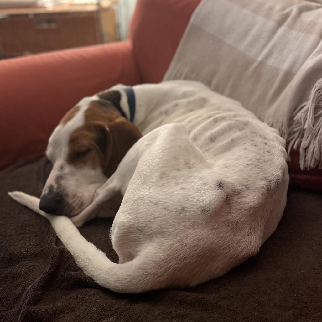 Willie A — thumbnail 6