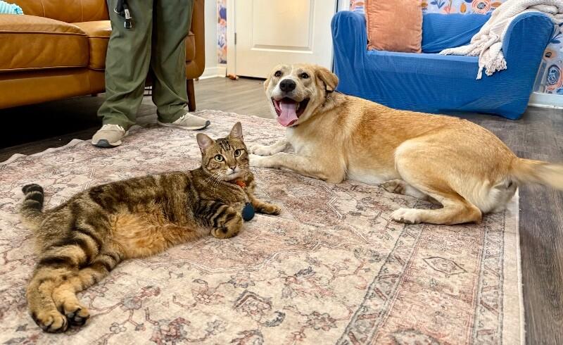 Sandy Pink The Golden Girl of Your Dreams — thumbnail 5