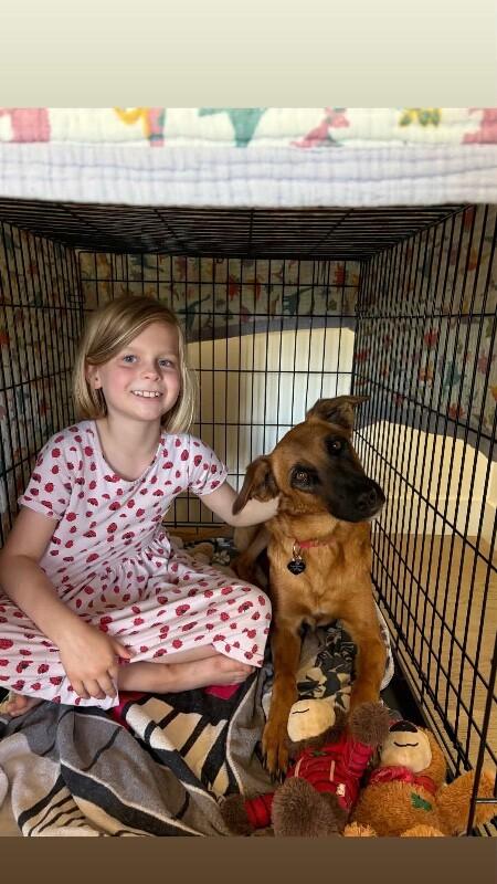 Enlarge Lucy, a Adoptable mixed breed in Van Nuys, CA image 5/6