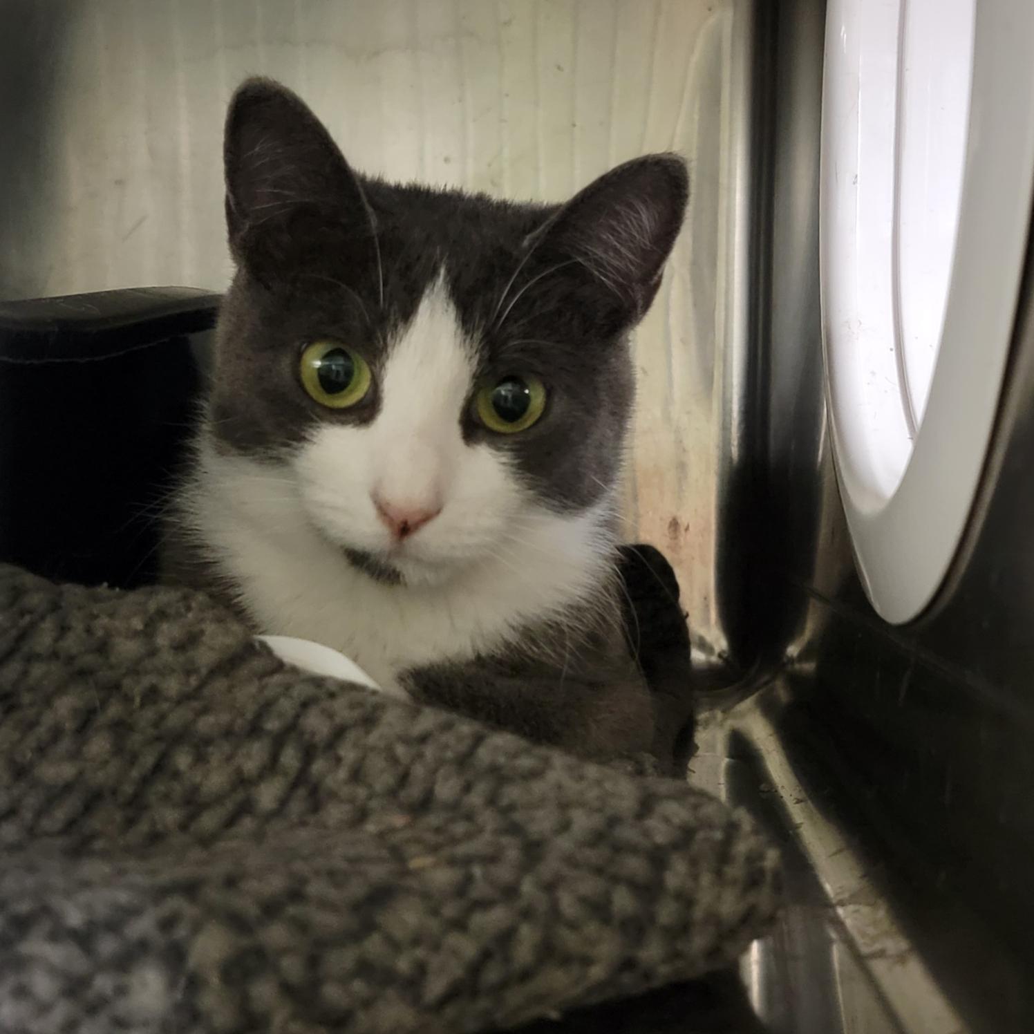 Mrs. Thumbs thumbnail 2