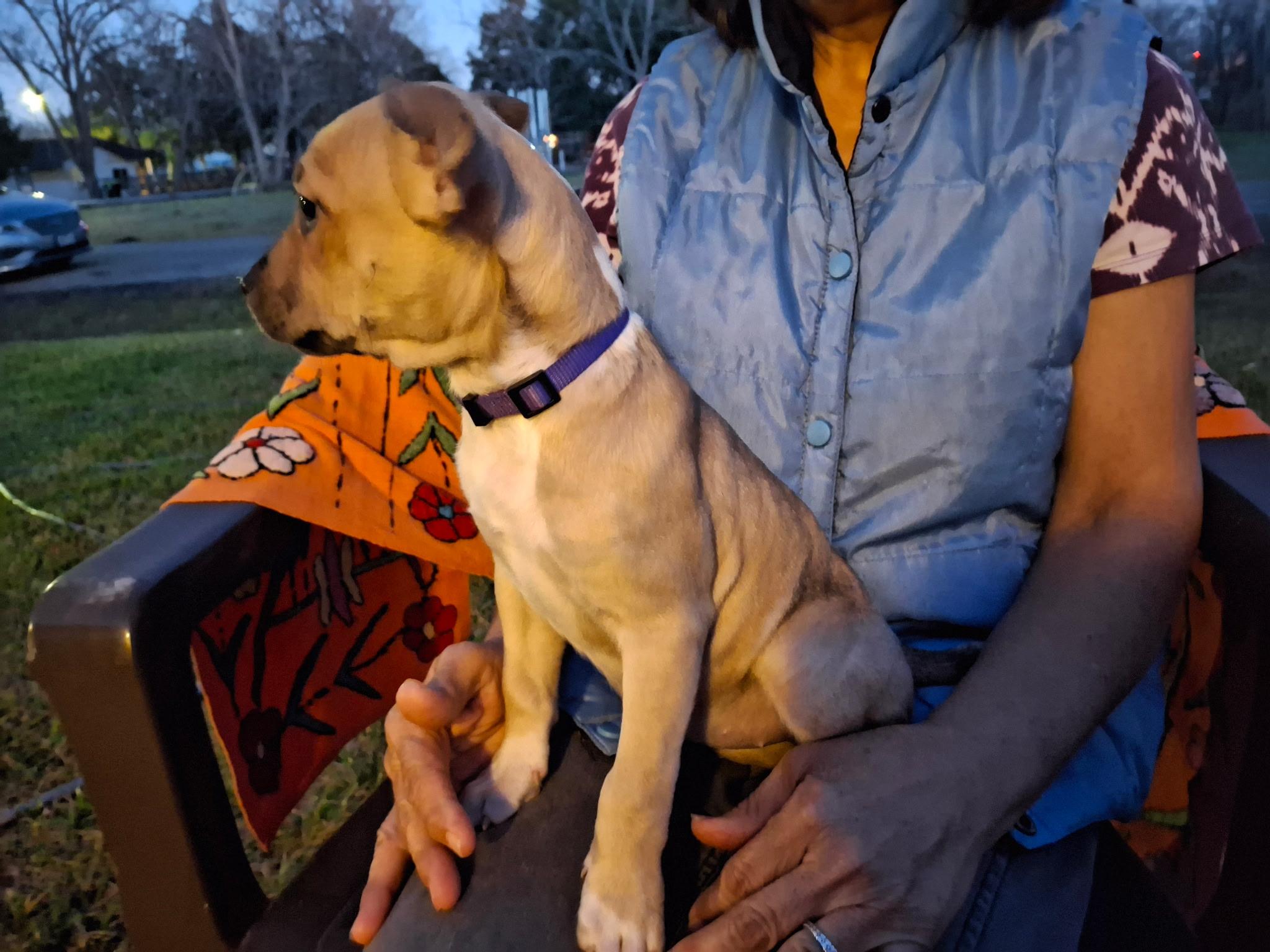 Copper — thumbnail 2