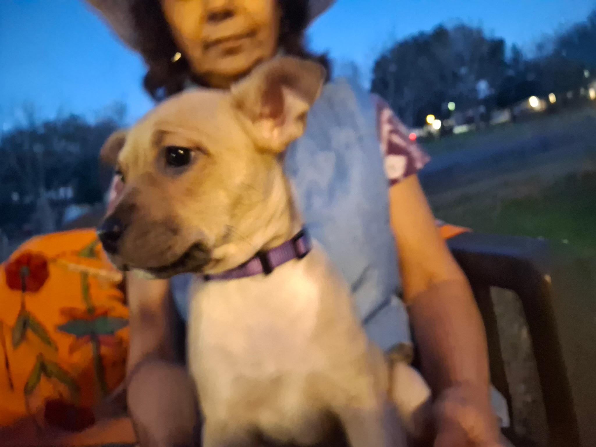 Copper — thumbnail 6