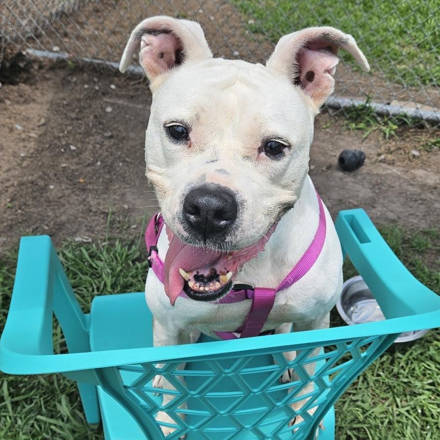 Juliette - in foster home